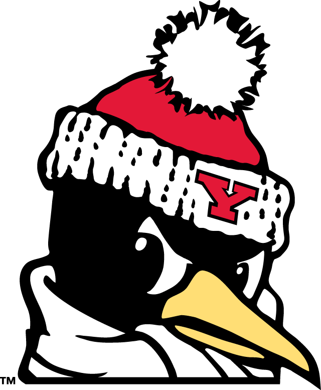 Youngstown State Penguins 1993-Pres Alternate Logo v9 iron on transfers for T-shirts
